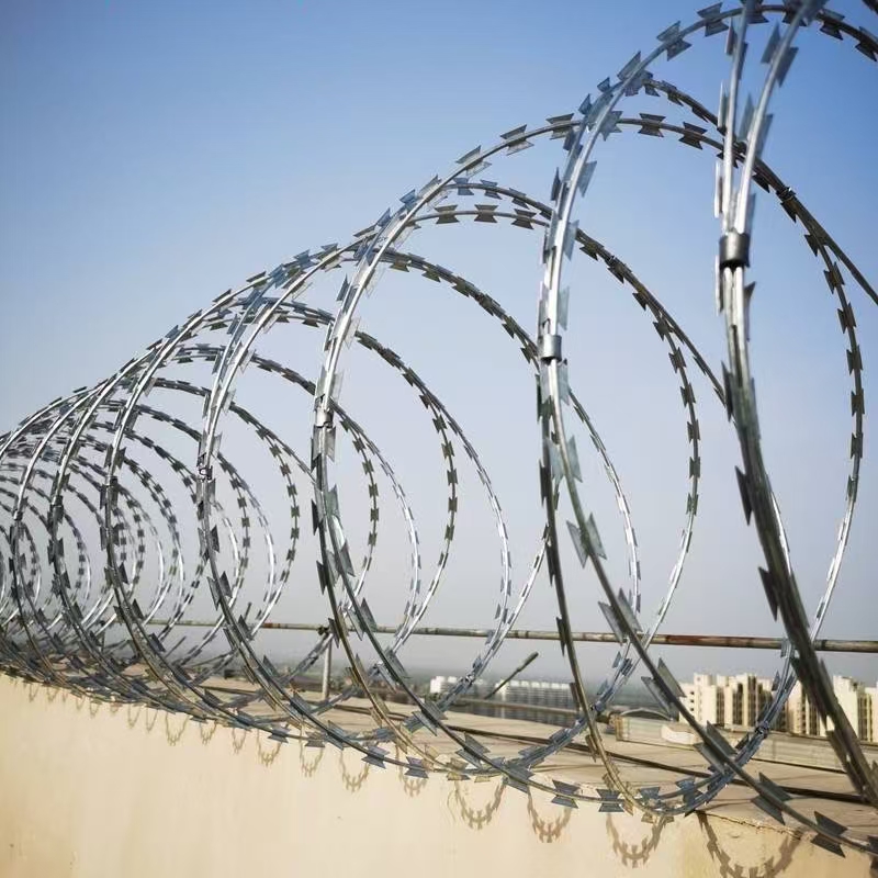 Razor Barbed Wire1